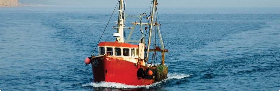 Fishing boat coming into port